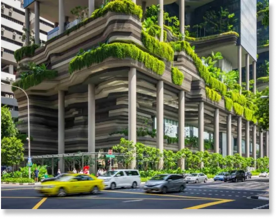 capturing-the-vitality-of-green-buildings-to-create-more-sustainable-environments-banner-1753180211.webp
