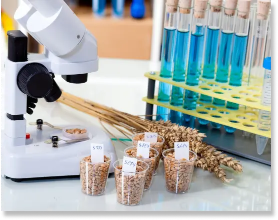 food-testing-equipment-company-profitable-and-sustainable-growth-banner-1753429530.webp