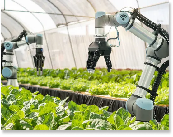 harnessing-the-essence-of-smart-farming-with-customer-centric-approach-banner-1753181315.webp