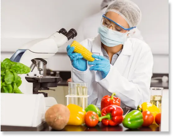 latest-innovations-in-food-safety-testing-company-to-increase-product-demand-banner-1753429249.webp