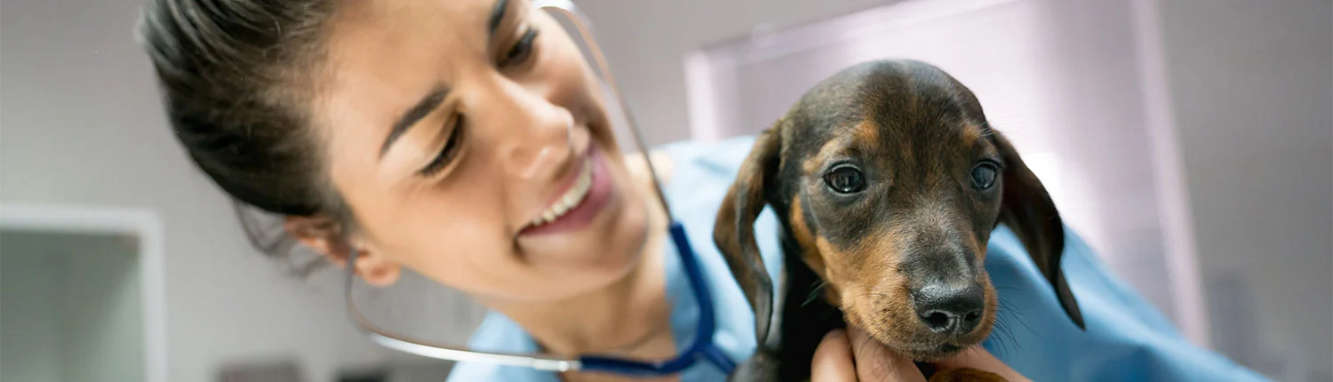 animal-health-banner-1770117673.webp