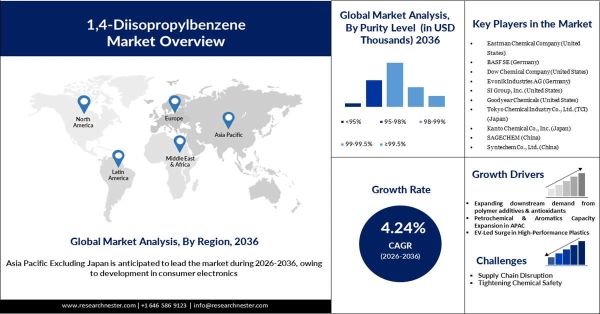 1,4-Diisopropylbenzene Market Size