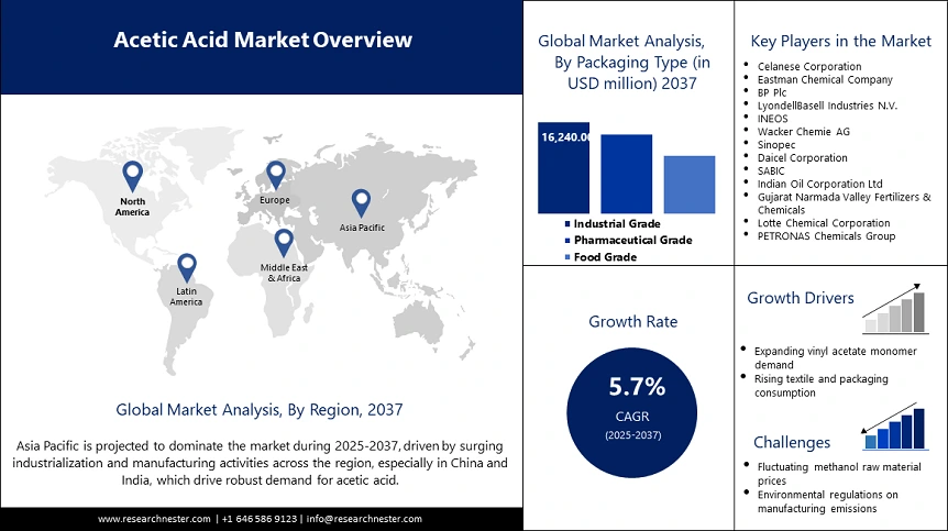 Acetic Acid Market Size