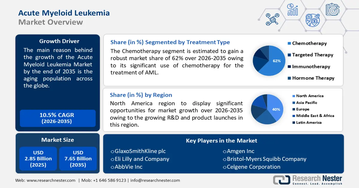 Acute Myeloid Leukemia Market Size