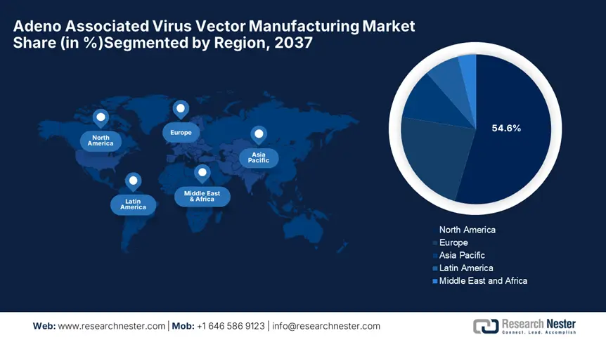 Adeno Associated Virus Vector Manufacturing Market Share