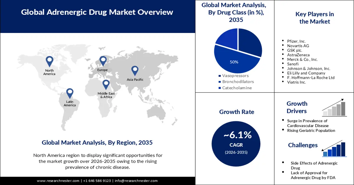 Adrenergic Drug Market Size