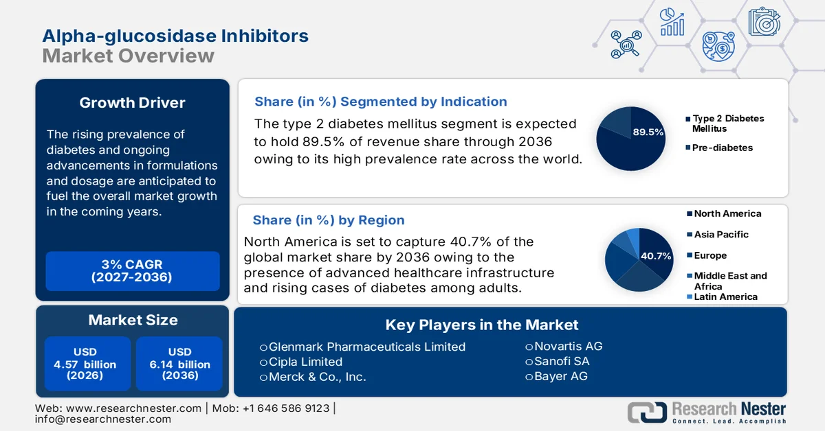 Alpha-glucosidase Inhibitors Market Size