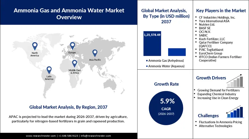 Ammonia Gas and Ammonia Water Market Size