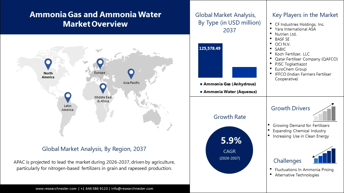 Ammonia Gas and Ammonia Water Market Size