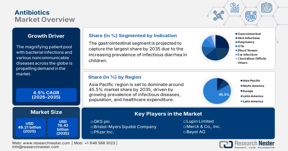 Antibiotics Market