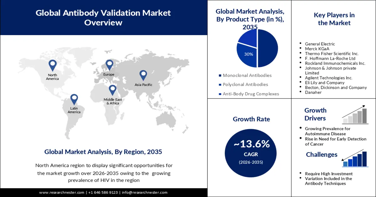 Antibody Validation Market size