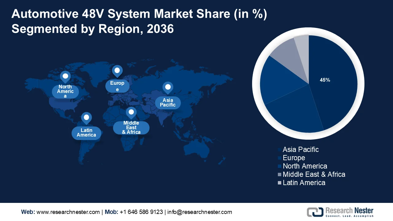 Automotive 48V System Market Share