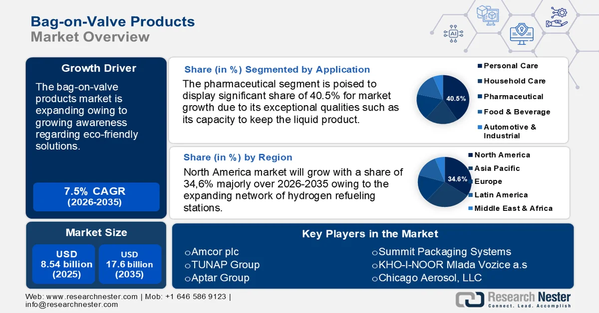 Bag-on-Valve Products Market Size