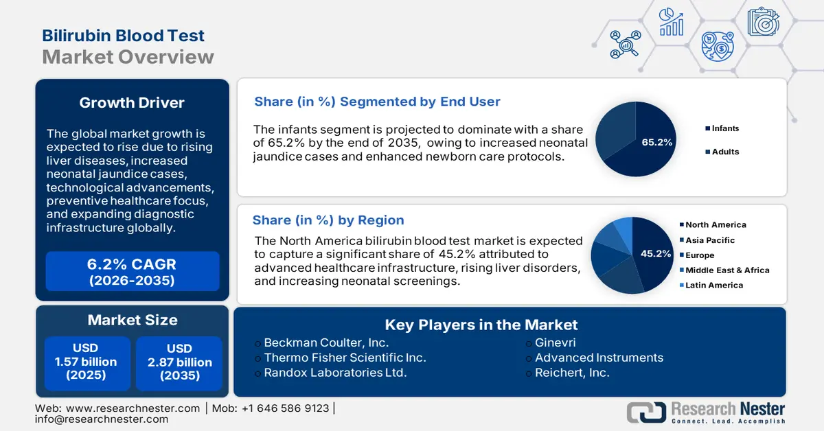 Bilirubin Blood Test Market overview