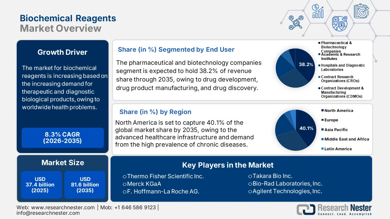 Biochemical Reagents Market Size