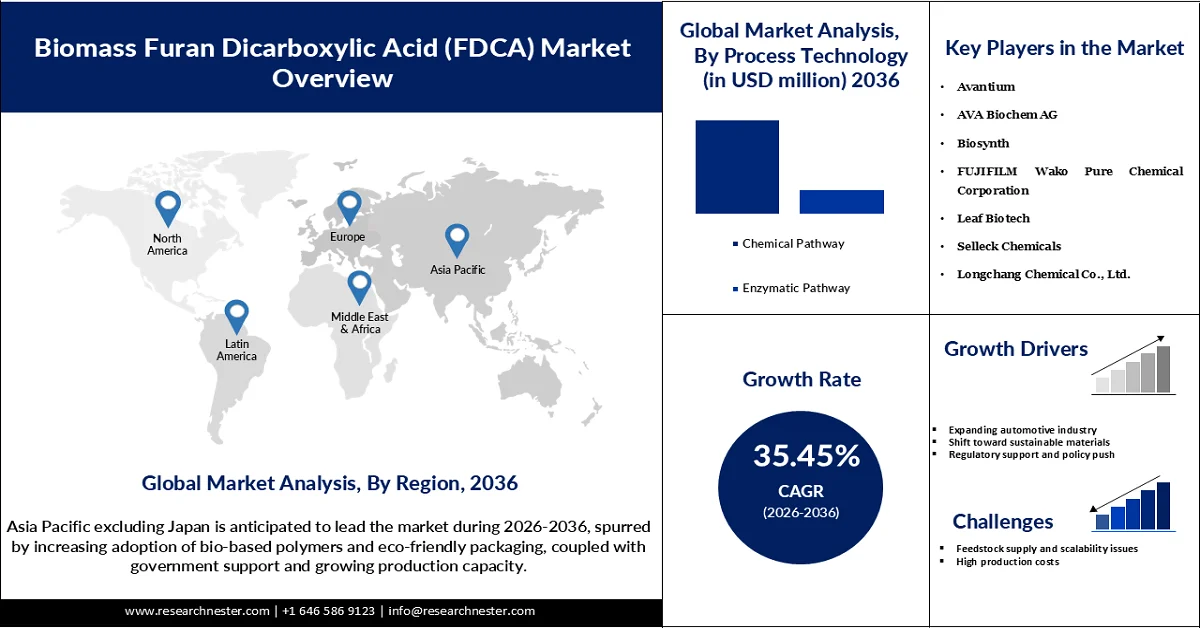 Biomass Furan Dicarboxylic Acid Market size