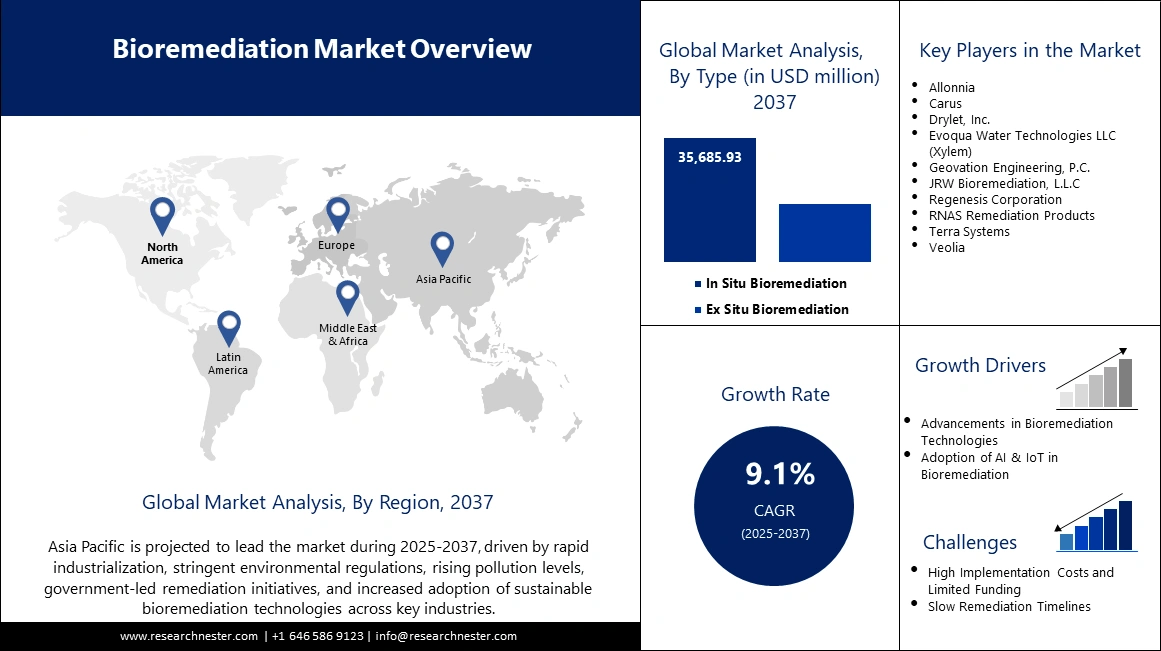 Bioremediation Market Size