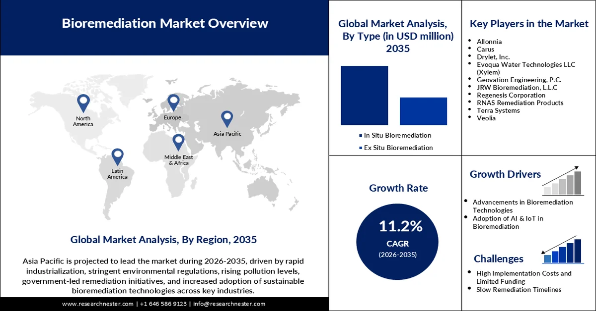 Bioremediation Market Size