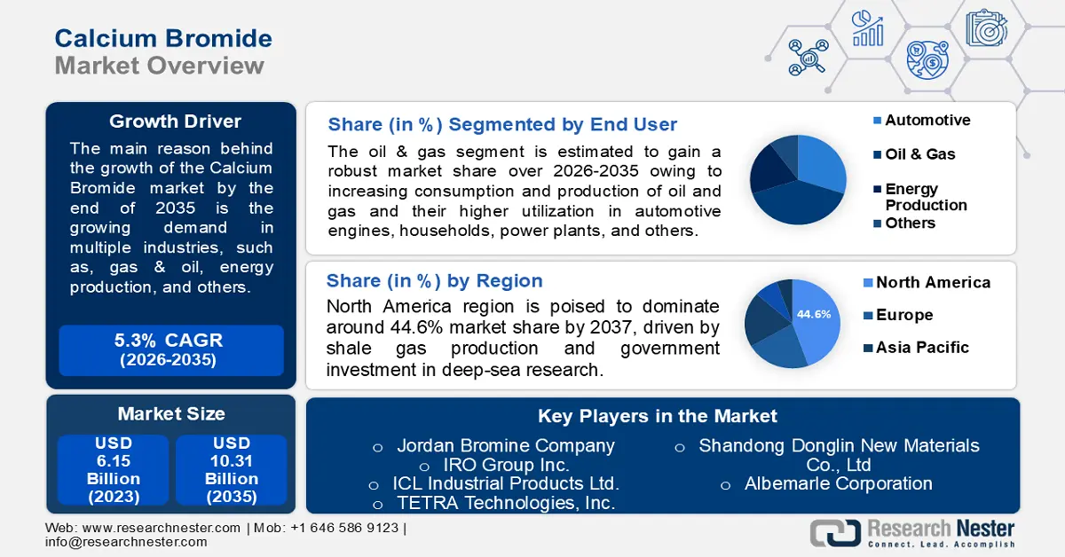 Calcium Bromide Market Size