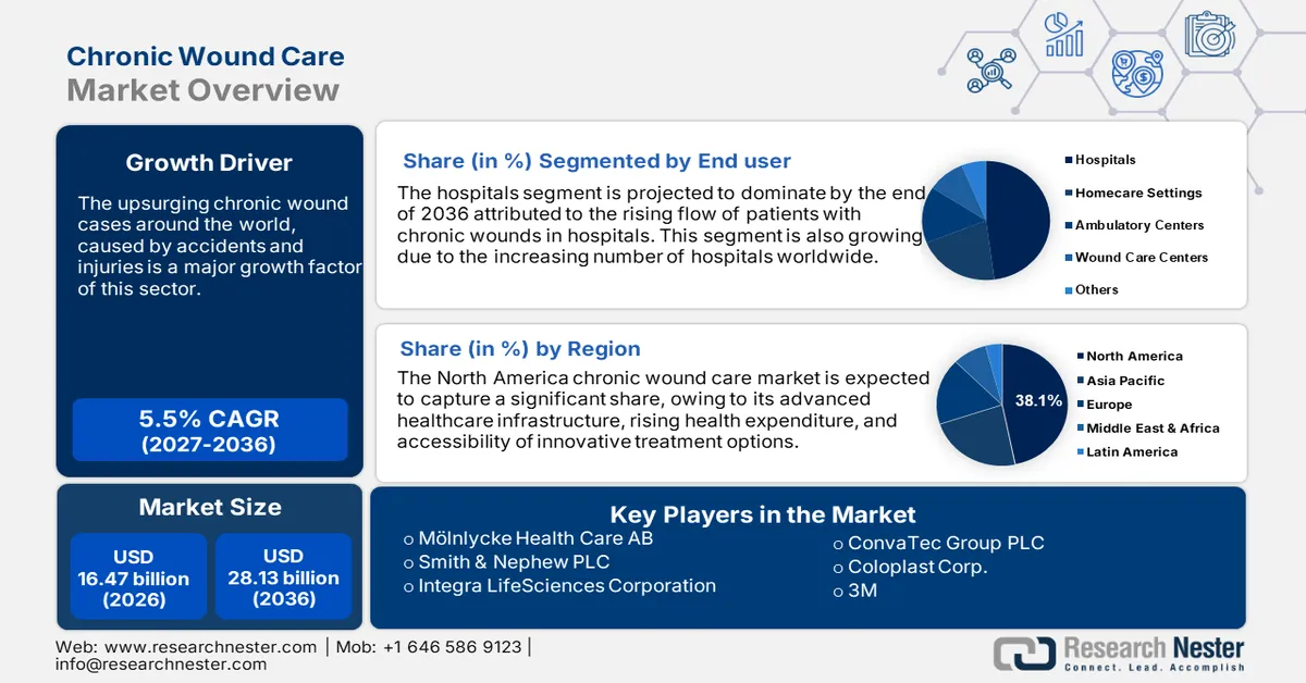 Chronic Wound Care Market Size