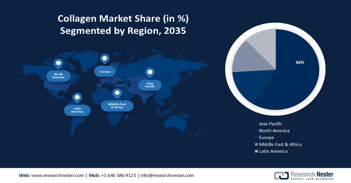 Collagen Market Overview