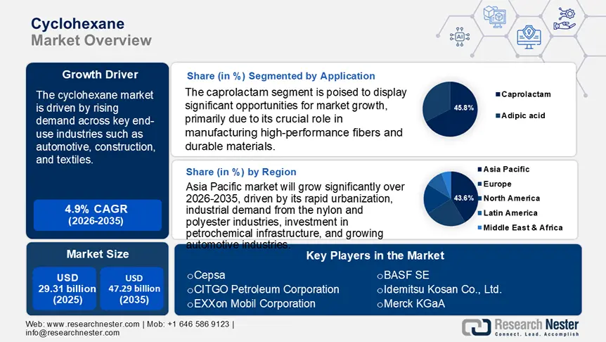 Cyclohexane Market Size