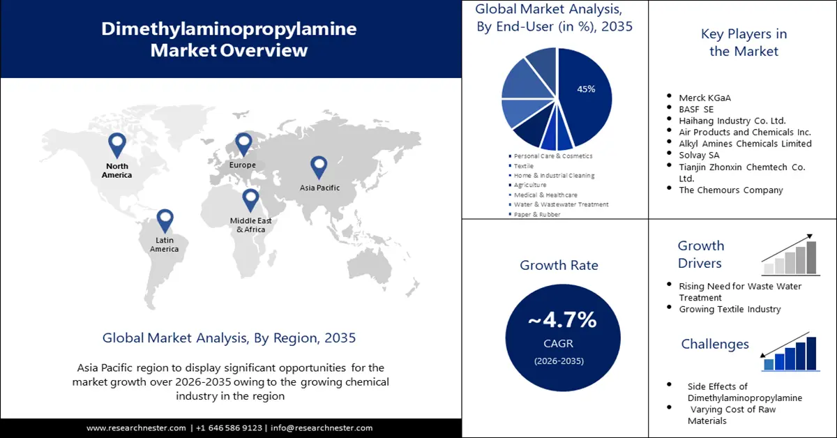 Dimethylaminopropylamine Market