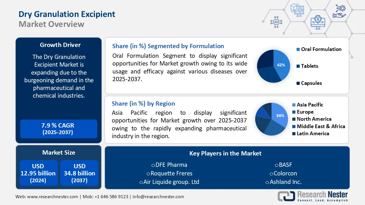 Dry Granulation Excipients Market size