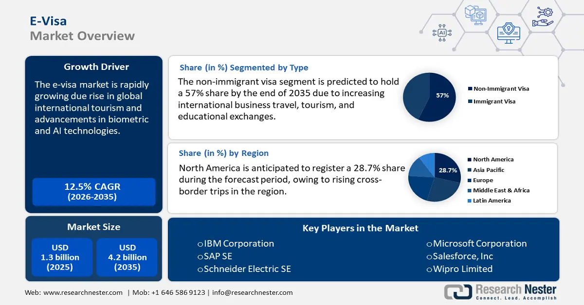 E-Visa Market Size