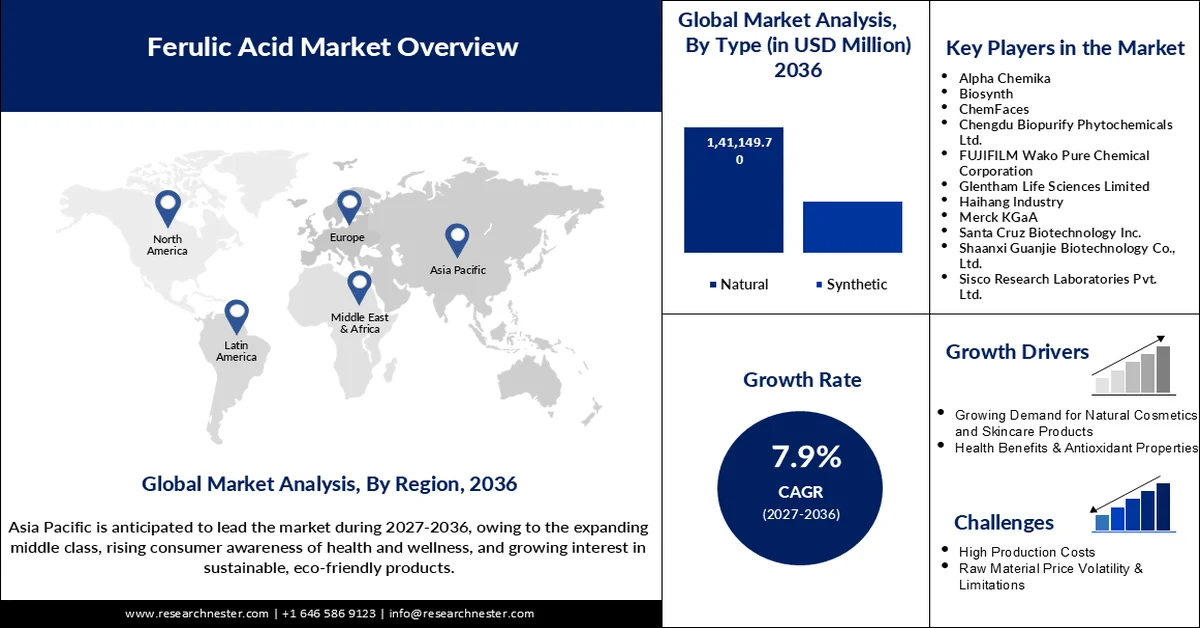 Ferulic Acid Market Size