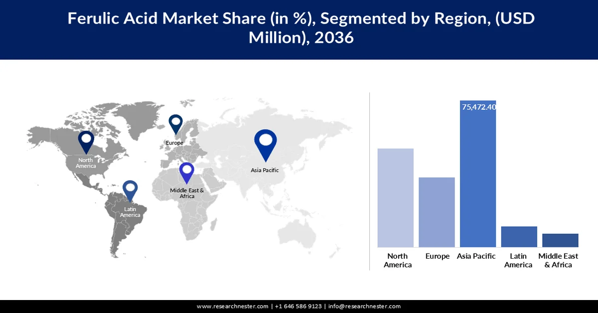 Ferulic Acid Market Share