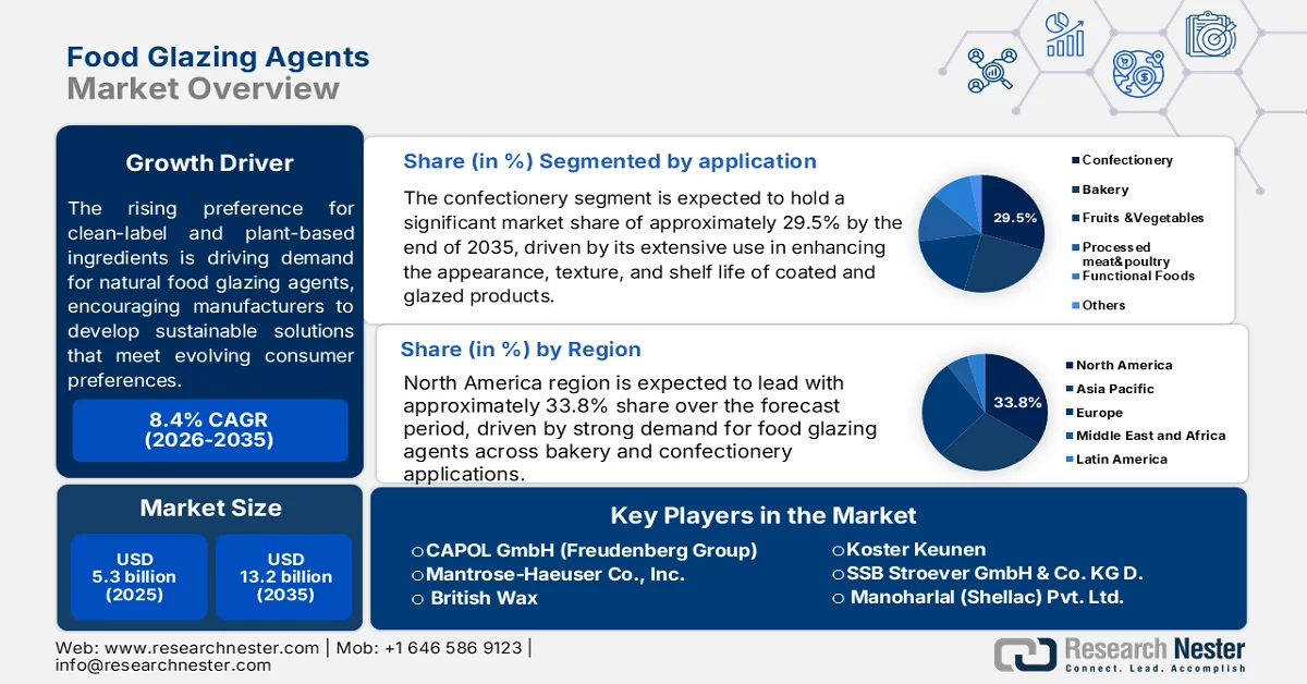 Food Glazing Agents Market size