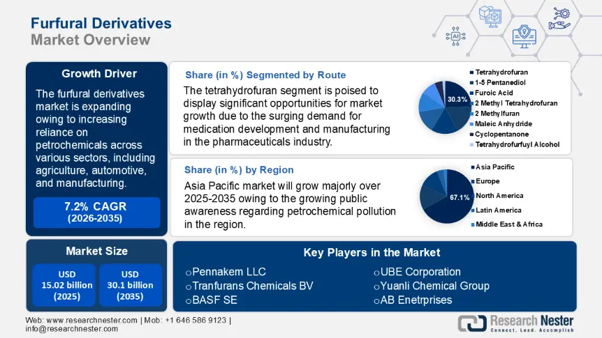 Furfural Derivatives Market Size