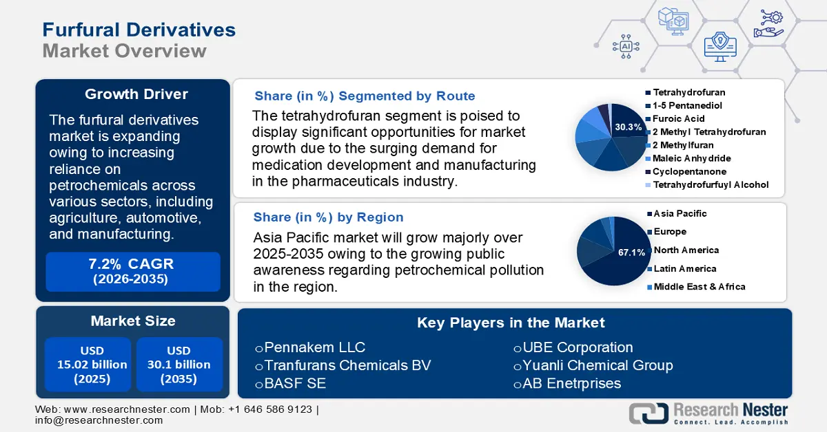 Furfural Derivatives Market Size