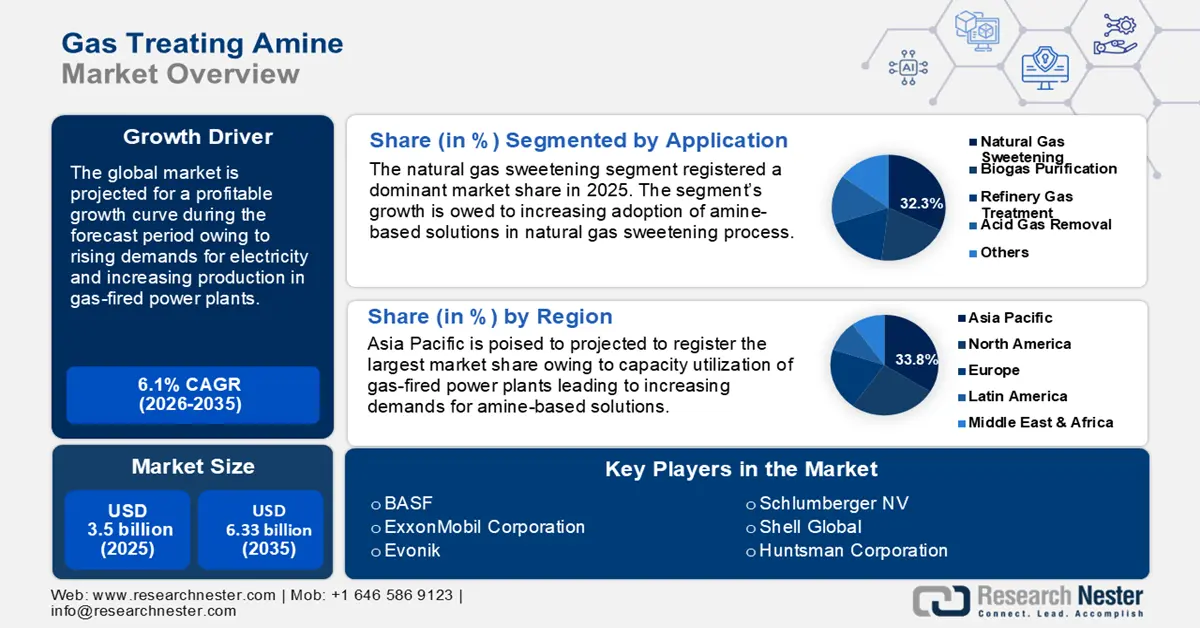 Gas Treating Amine Market size