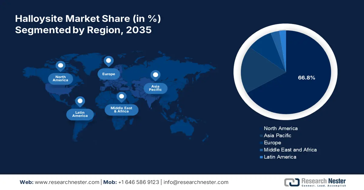 Halloysite Market share