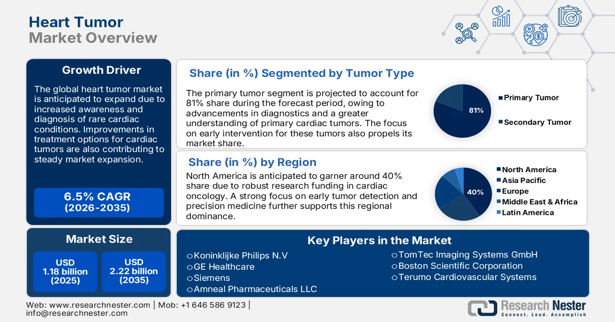 Heart Tumor Market Size