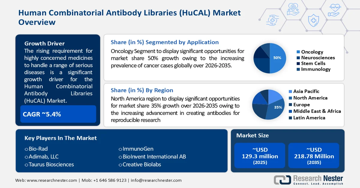 IG_Human Combinatorial Antibody Libraries (HuCAL) Market overviews