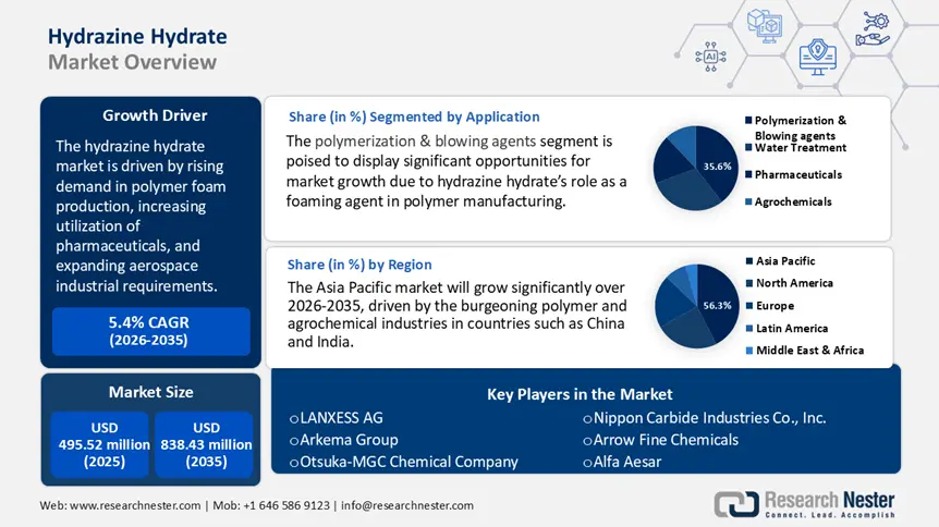 Hydrazine Hydrate Market Size