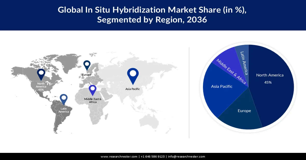 In Situ Hybridization Market share