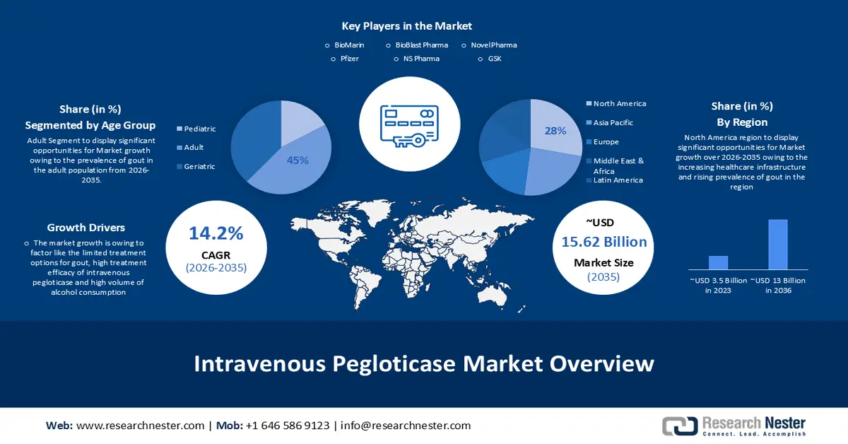 Intravenous Pegloticase Market Size