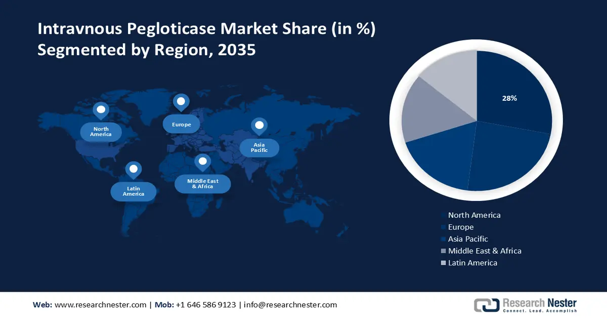Intravenous Peglotticase Market Share