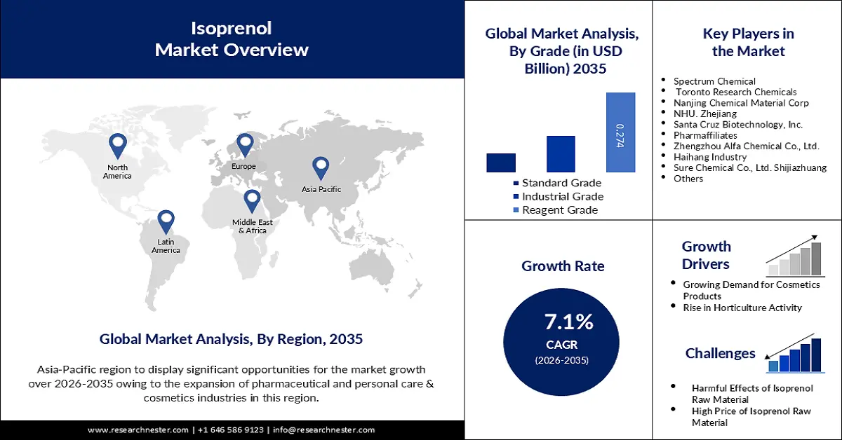 Isoprenol Market Size