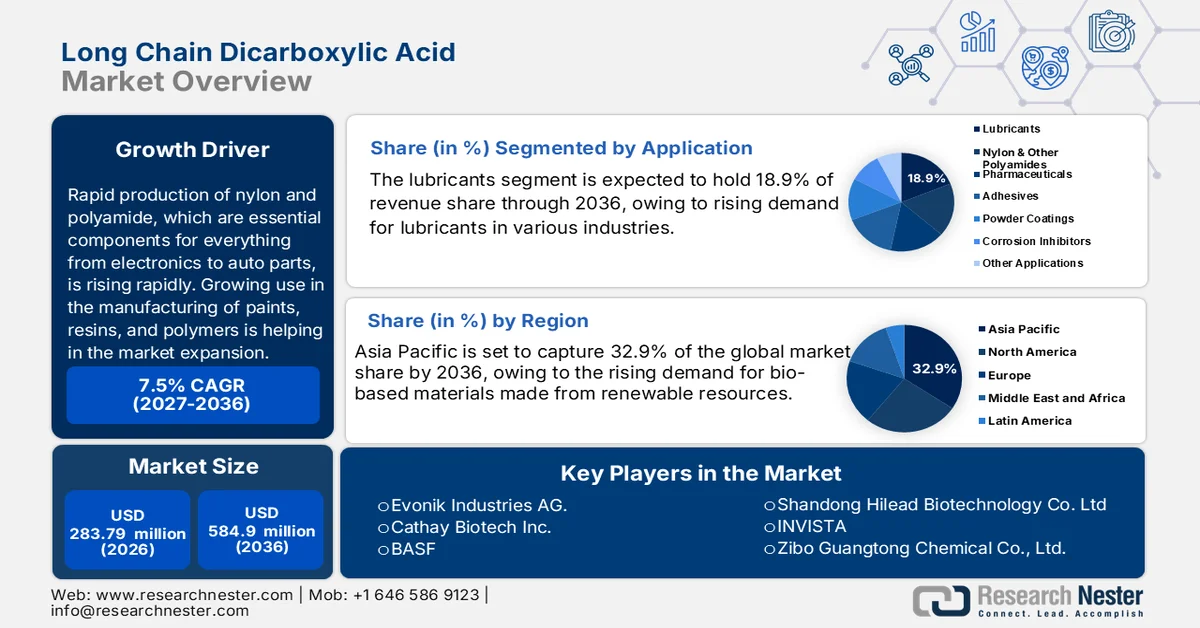 Long Chain Dicarboxylic Acid Market Size