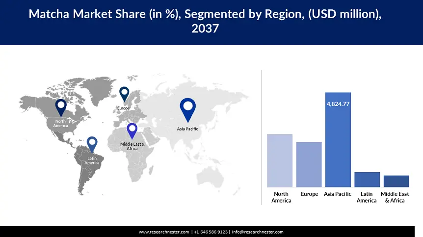 Matcha Market Share