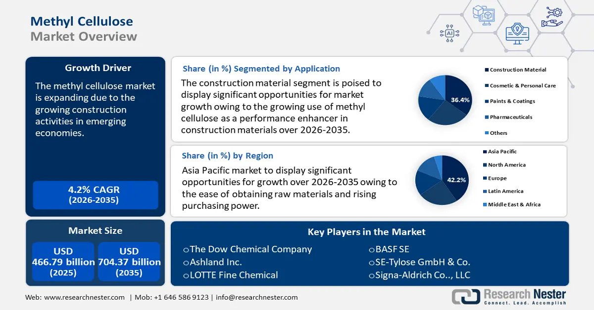 Methyl Cellulose Market