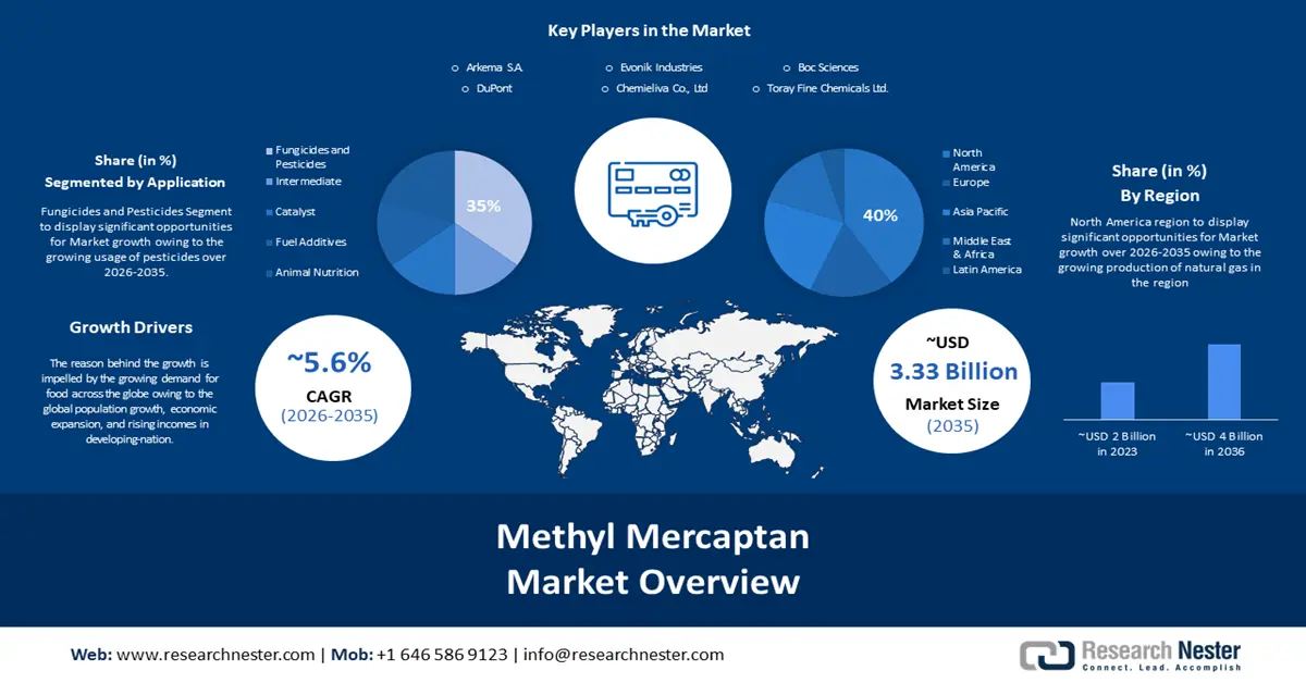 Methyl Mercaptan Market overview