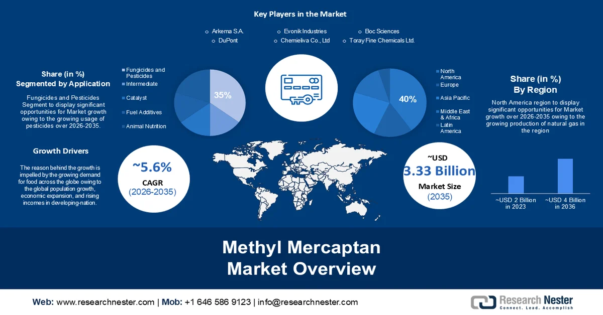 Methyl Mercaptan Market overview