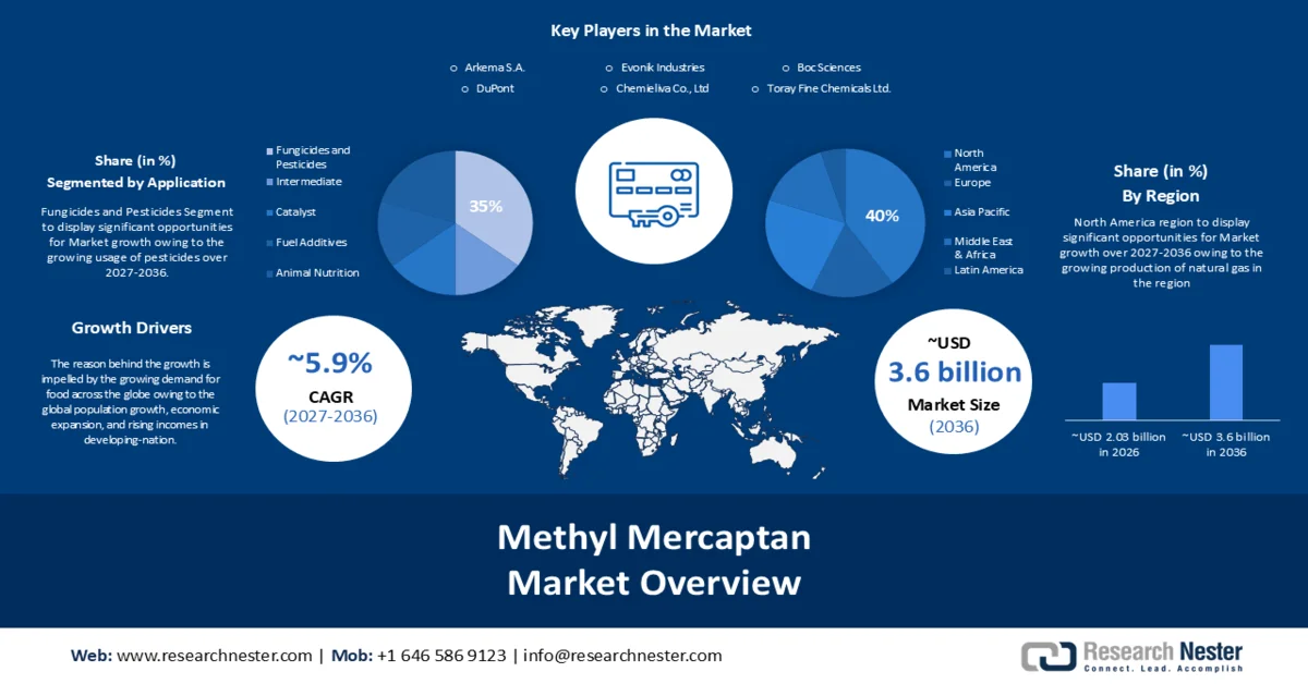 Methyl Mercaptan Market size