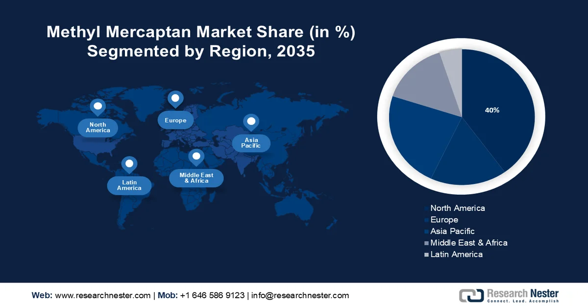 Methyl Mercaptan Market share